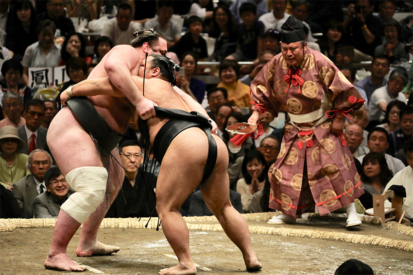 combat sumo